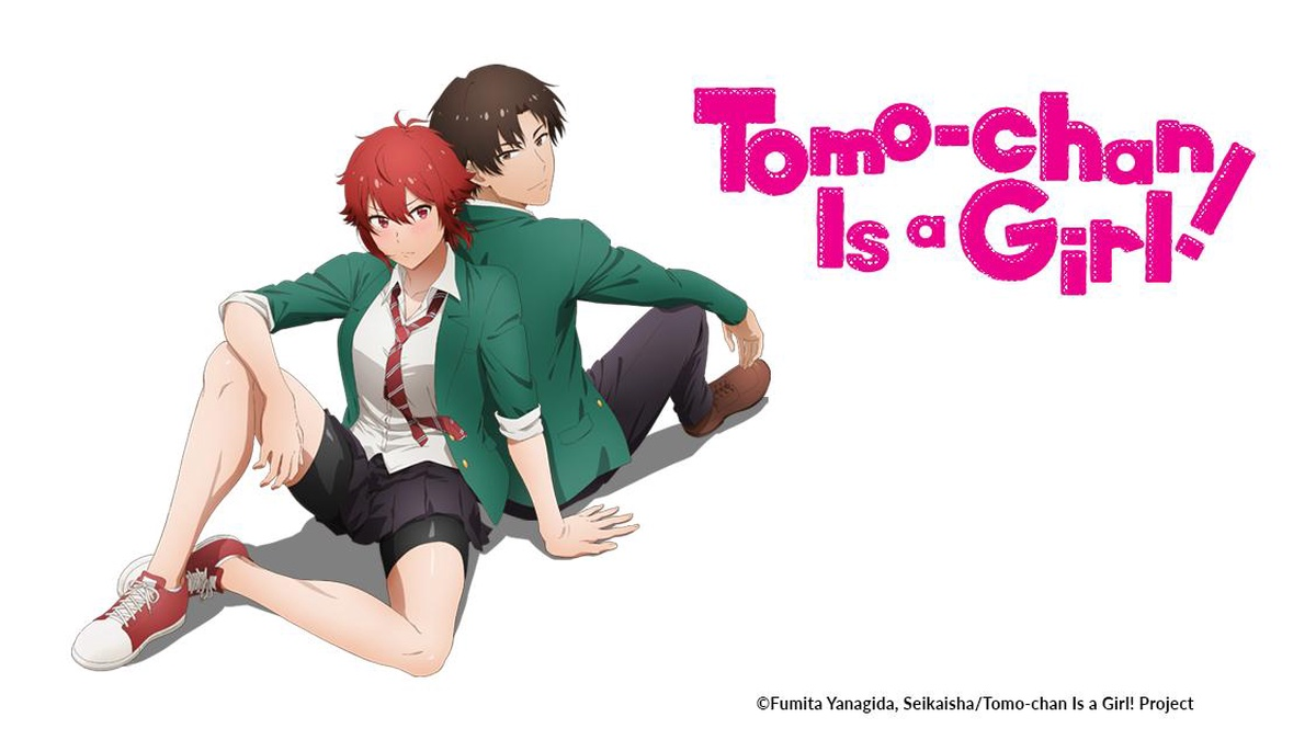 Os personagens de Tomo-chan Is a Girl!